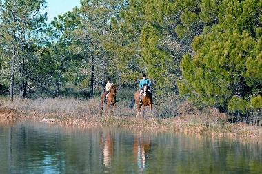 Casa de vacaciones en TAVIRA (Algarve)Casa de vacaciones