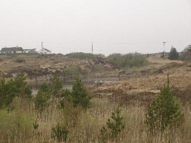 Casa de vacaciones en Annagry (Donegal)Casa de vacaciones