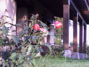 Casa de vacaciones en CANDELEDA-EL RASO (vila)Casa de vacaciones