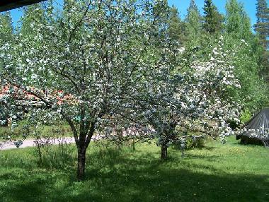 Casa de vacaciones en Trollsjheden (Dalarna)Casa de vacaciones