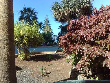 Apartamento de vacaciones en Los Christianos (Teneriffa)Casa de vacaciones