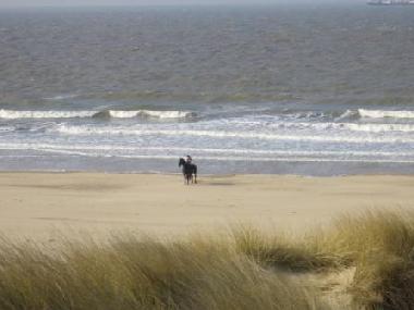 Apartamento de vacaciones en Nieuwvliet-Bad (Zeeland)Casa de vacaciones