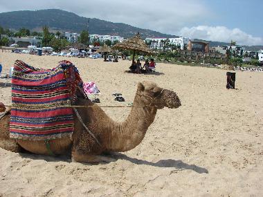 Apartamento de vacaciones en Tetouan (Tanger)Casa de vacaciones