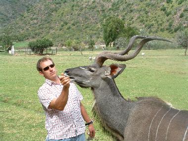 Cama y desayuno en Oudtshoorn (Western Cape)Casa de vacaciones