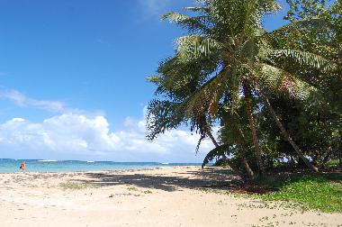 Cama y desayuno en Samana (Samana)Casa de vacaciones