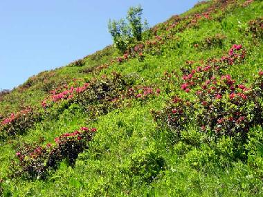 Apartamento de vacaciones en Riezlern  (Bludenz-Bregenzer Wald)Casa de vacaciones