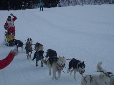 Apartamento de vacaciones en LES CARROZ d'Araches (Haute-Savoie)Casa de vacaciones