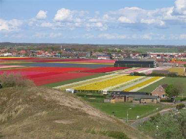 Apartamento de vacaciones en Egmond aan Zee (Noord-Holland)Casa de vacaciones