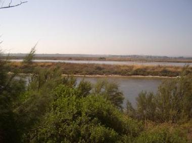 Apartamento de vacaciones en Faro (Algarve)Casa de vacaciones