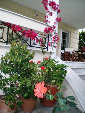 Apartamento de vacaciones en Nea Erythrea (Attiki)Casa de vacaciones