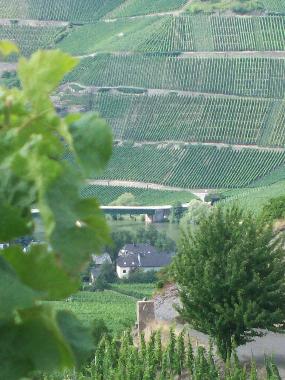 Apartamento de vacaciones en Piesport (Mosel - Saar)Casa de vacaciones
