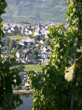 Apartamento de vacaciones en Piesport (Mosel - Saar)Casa de vacaciones