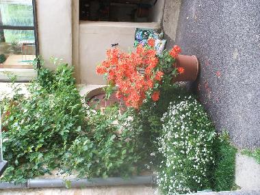 Casa de vacaciones en passenans (Jura)Casa de vacaciones