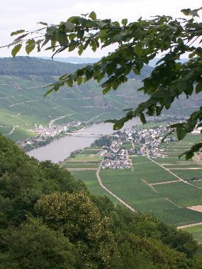 Apartamento de vacaciones en Piesport (Mosel - Saar)Casa de vacaciones