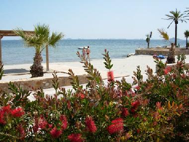 Casa de vacaciones en Torre Pacheco (Murcia)Casa de vacaciones