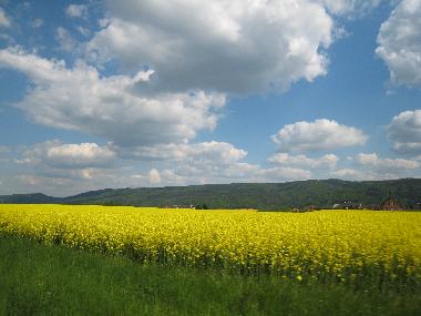 Apartamento de vacaciones en Vysoky Ujezd u Berouna (Stredocesky Kraj)Casa de vacaciones