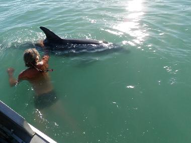 Casa de vacaciones en Tolaga Bay (Wairoa)Casa de vacaciones
