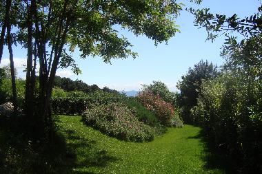 Casa de vacaciones en Cantagrillo (Pistoia)Casa de vacaciones