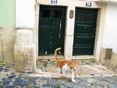 Apartamento de vacaciones en Lisboa (Grande Lisboa)Casa de vacaciones