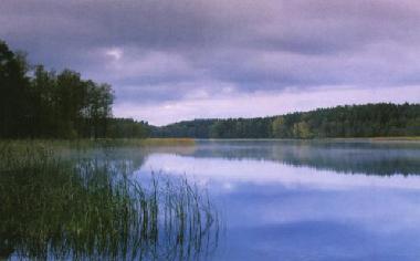 Cama y desayuno en Jeleniewo (Podlaskie)Casa de vacaciones