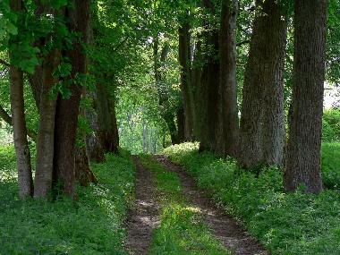 Cama y desayuno en Jeleniewo (Podlaskie)Casa de vacaciones