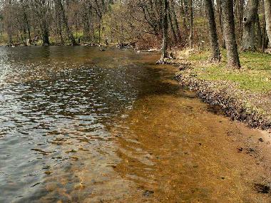 Cama y desayuno en Jeleniewo (Podlaskie)Casa de vacaciones
