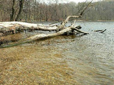 Cama y desayuno en Jeleniewo (Podlaskie)Casa de vacaciones