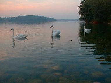 Cama y desayuno en Jeleniewo (Podlaskie)Casa de vacaciones