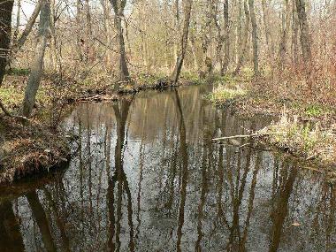 Cama y desayuno en Jeleniewo (Podlaskie)Casa de vacaciones