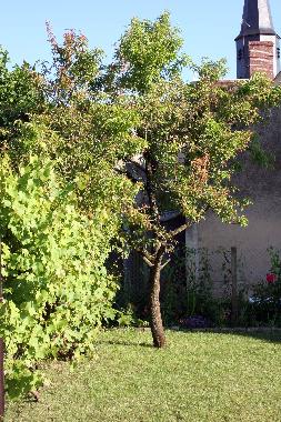 Casa de vacaciones en Ige (Orne)Casa de vacaciones