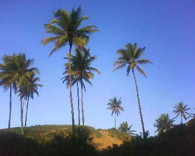 Casa de vacaciones en Imbassai (Bahia)Casa de vacaciones