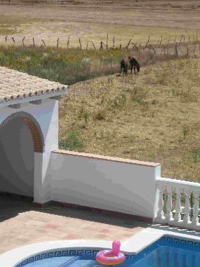 Chalet en Vejer (Cdiz)Casa de vacaciones