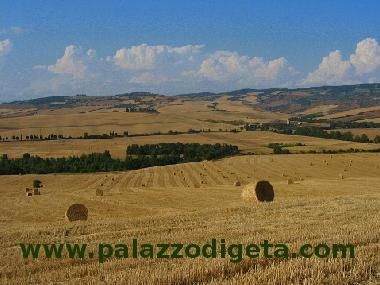 Casa de vacaciones en Castiglione d