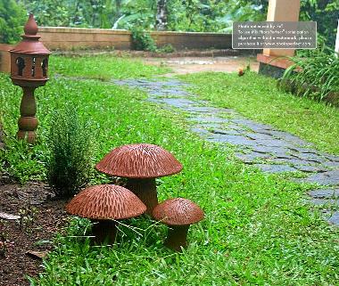 Cama y desayuno en Thekkady (Kerala)Casa de vacaciones