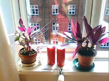 Cama y desayuno en Kobenhavn (Kobenhavn)Casa de vacaciones