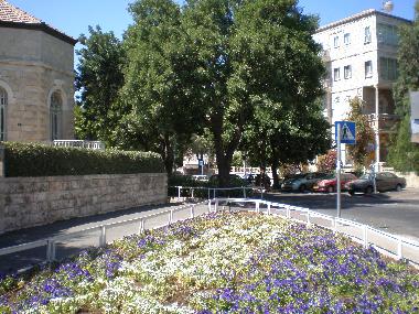 Cama y desayuno en jerusalem (Yerushalayim (Jerusalem))Casa de vacaciones