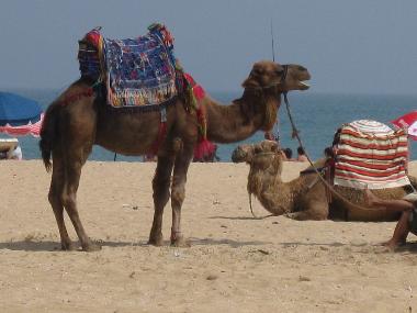 Apartamento de vacaciones en marina smir (Tetouan)Casa de vacaciones