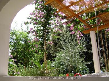 Apartamento de vacaciones en Mandre (Zadarska)Casa de vacaciones