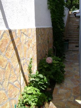 Apartamento de vacaciones en Mandre (Zadarska)Casa de vacaciones