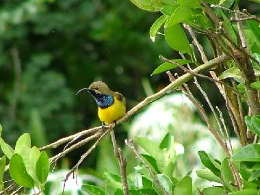 Chalet en Yungaburra (Queensland)Casa de vacaciones