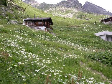 Chalet en Wiler (L�tschental-L�tschberg)Casa de vacaciones