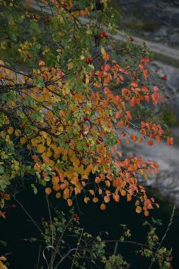 Apartamento de vacaciones en Vysoky Ujezd u Berouna (Stredocesky Kraj)Casa de vacaciones