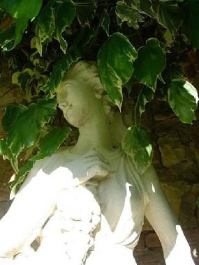 Cama y desayuno en Castellina in chianti (Siena)Casa de vacaciones