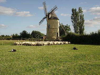 Casa de vacaciones en St Cyr Des Gats (Vende)Casa de vacaciones