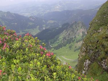 Apartamento de vacaciones en Mellau (Bludenz-Bregenzer Wald)Casa de vacaciones