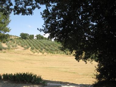 Apartamento de vacaciones en Todi (Perugia)Casa de vacaciones