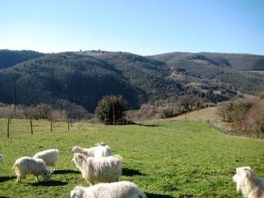 Apartamento de vacaciones en Todi (Perugia)Casa de vacaciones