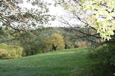 Apartamento de vacaciones en Todi (Perugia)Casa de vacaciones
