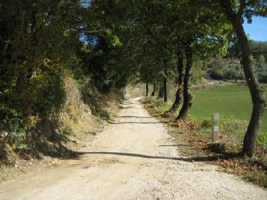 Apartamento de vacaciones en Todi (Perugia)Casa de vacaciones