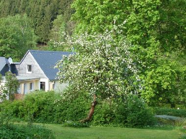Apartamento de vacaciones en Bad Berleburg (Sauerland)Casa de vacaciones